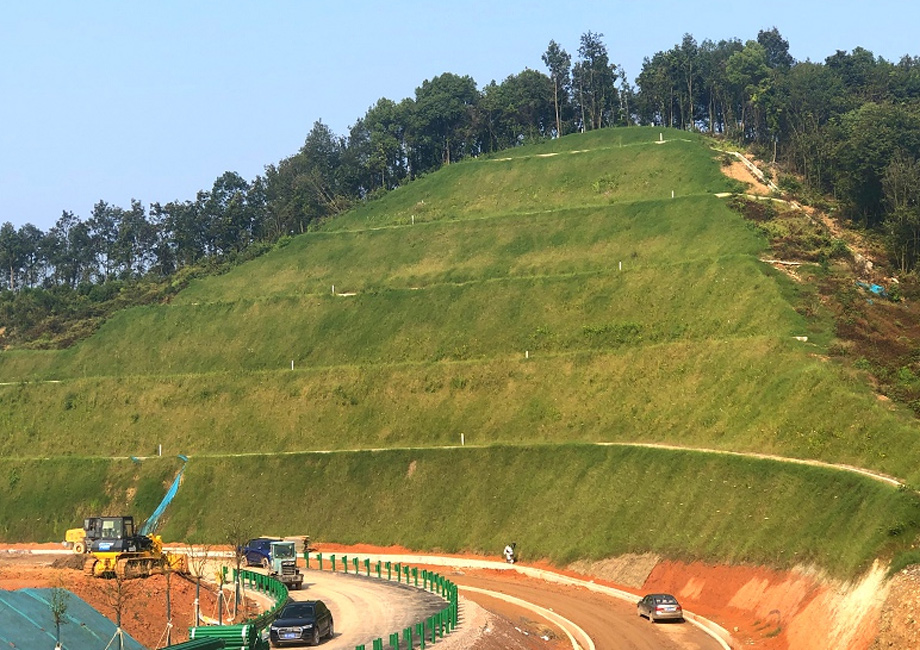 Slope Protection and Treatment Plan