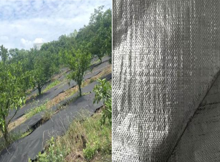 Woven geotextiles with split filament yarn